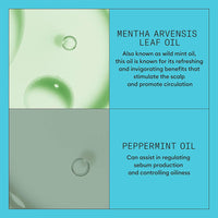 Nioxin System 3 Color Safe Conditioner Liter