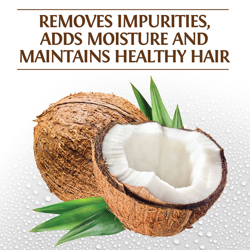 BioSilk Silk Therapy With Natural Coconut Oil Moisturizing Shampoo 12oz