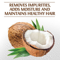 BioSilk Silk Therapy With Natural Coconut Oil Moisturizing Shampoo 12oz